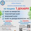 срок уплаты налога